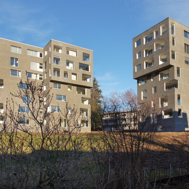 2 MFH Claridapark Wald