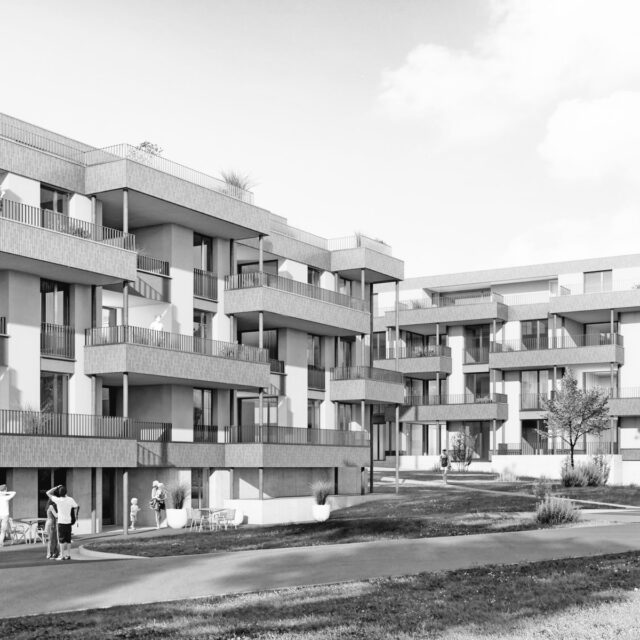 2 MFH Langrüti Mitte Jona