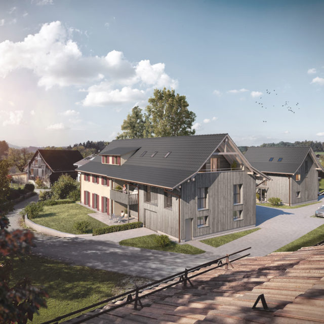 MFH + EFH Bubikon