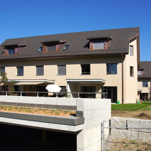 1 MFH + 7 EFH Wolfhausen