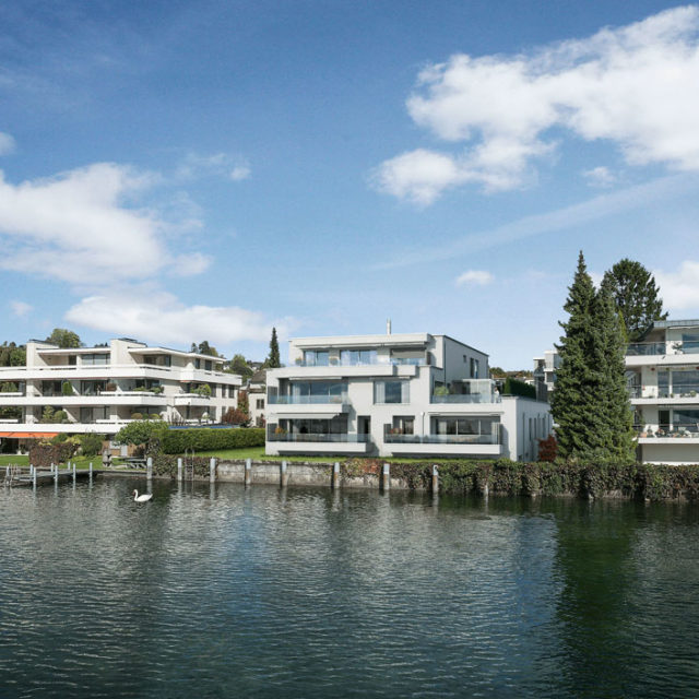 MFH Rapperswil