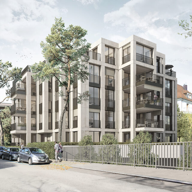 MFH Mühlebach Zürich