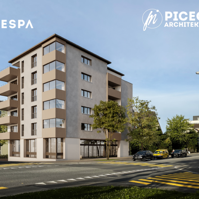 NEUBAU NEUE JONASTRASSE RAPPERSWIL
