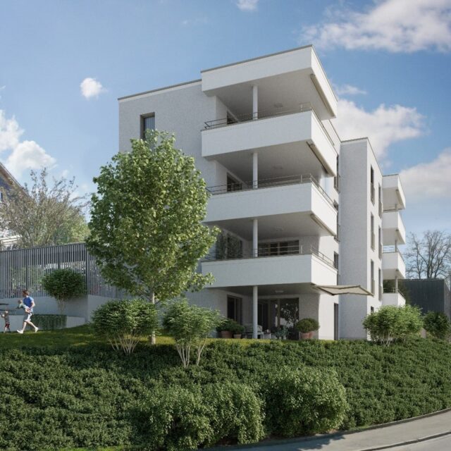NEUBAU MFH SCHÜSSELACHER, WALD