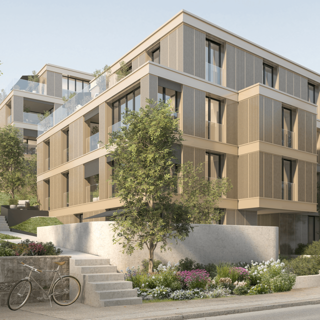 NEUBAU MFH KAPFSTEIG, ZÜRICH