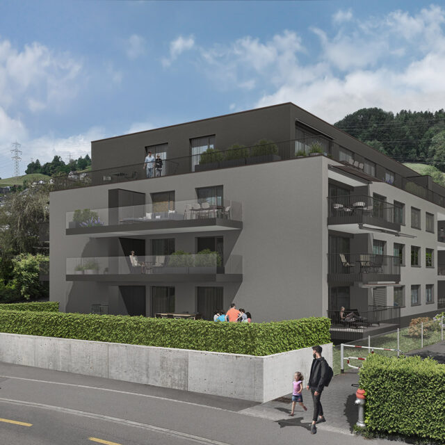 NEUBAU MFH BIRKENSTRASSE, SCHMERIKON