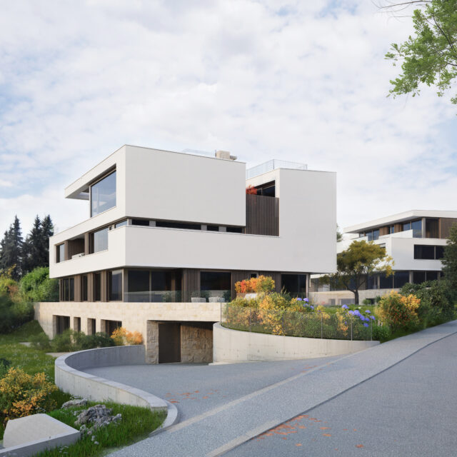 NEUBAU 2 MFH KILCHBERG