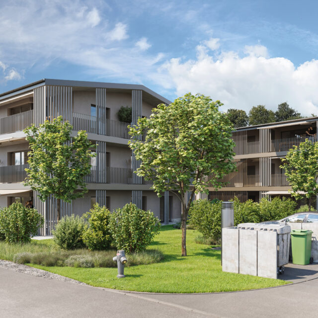 Neubau MFH Hardstrasse, Grüt