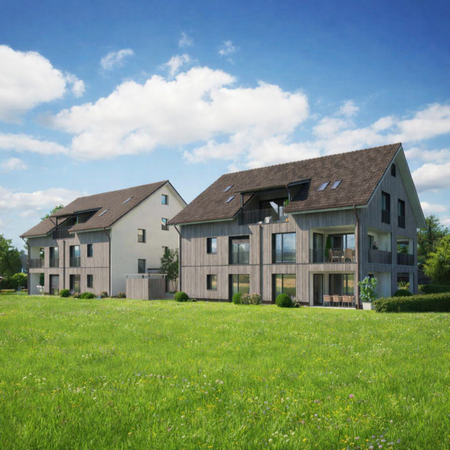 Neubau MFH Seewiesstrasse, Maur