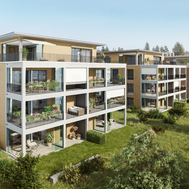 Neubau MFH Grütstrasse, Jona